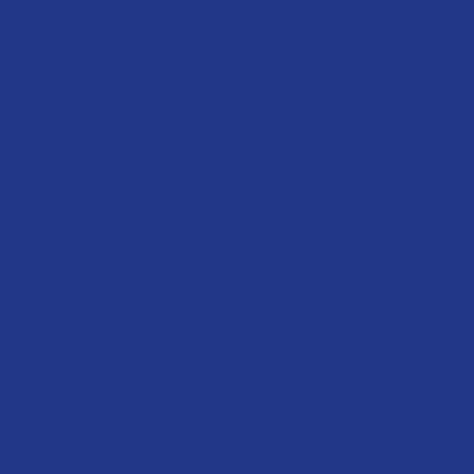 Plus | Winter Windshield Cover for Ice and Snow, Standard Size (Indigo) - Built-in Security Panels, Wiper Blade Coverage + Mirror Covers - Fits Standard Size Cars, 59 x 41 Inches
