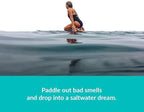 Hanging Car Air Freshener | Tropical Beach Coconut Surf Wax Scent Mini Wave | Long Lasting Car Freshener, Closet and Beyond | Made In USA | 3 Pack (Aloha)