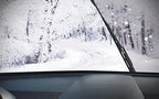 Windshield Washer Fluid