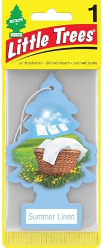 076171673473 Daisy Fields Hanging Paper Tree for Home or Car, 6 Pack