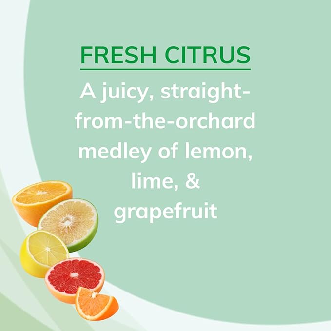 Odor Absorbing Solid Air Freshener, Fresh Citrus, 8-Ounce, (Pack of 3)