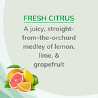 Odor Eliminating Air Freshener Spray, Fresh Citrus, 6-Ounce