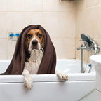 Dog Towel Super Absorbent Pet Bath Towel Microfiber Dog Drying Towel for Small, Medium, Large Dogs and Cats 30inch x 50inch Brown