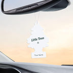 Air Fresheners, True North (Pack of 12)