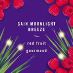 Car Air Freshener Vent Clip Gain Moonlight Breeze Scent,.06 fl oz. 3 Ct Pack of 3