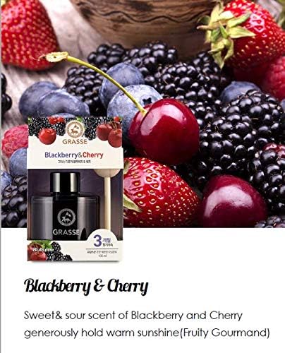 Grasse Diffuser, Natural Car Air Fresheners, Luxury Car Perfume - Black Berry & Cherry Scent (2 Pack)