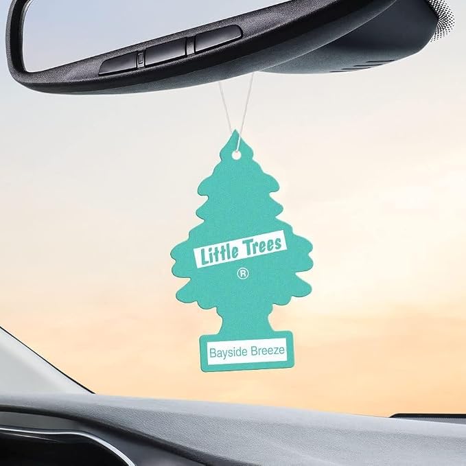 Cardboard Hanging Car, Home & Office Air Freshener, Bayside Breeze (Pack of 6)