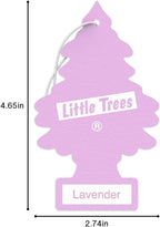 Air Fresheners Car Air Freshener. Hanging Tree Provides Long Lasting Scent for Auto or Home. Lavender, 24 Airs Fresheners (Pack of 6)