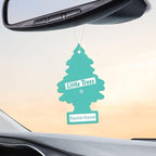 Cardboard Hanging Car, Home & Office Air Freshener, Bayside Breeze (Pack of 12)