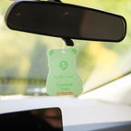 Hanging Car Cub Air Fresheners Infused with Natural Essential Oils, 4 Ct. (Coastal Tide)