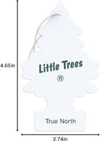 CAR FRESHNER U1P17146 Air Fresheners, True North