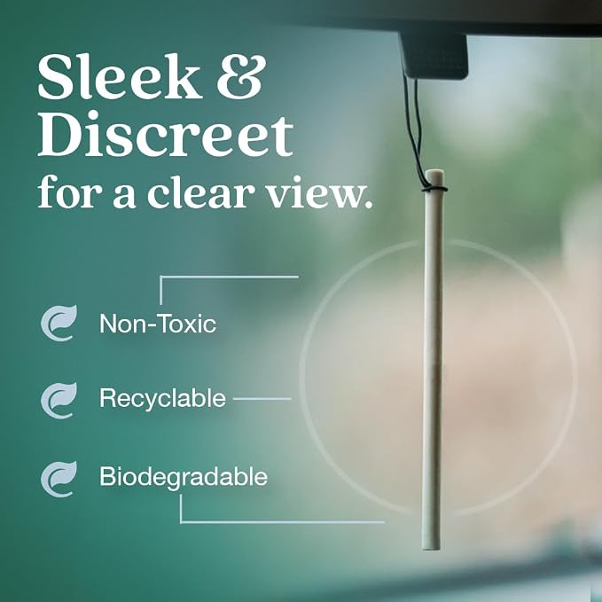 Non-Toxic* Car Air Freshener Auto Stix® - Scents Made Safer - Enjoy Fragrance Lasts Up to 480 Days - Includes Auto Stix® Diffusers & Elastic Loops - Seaside Coconut & Verbena (Pack of 8)