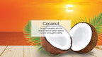 Hanging Car and Home Air Freshener, Coconut Scent, 10 Pack