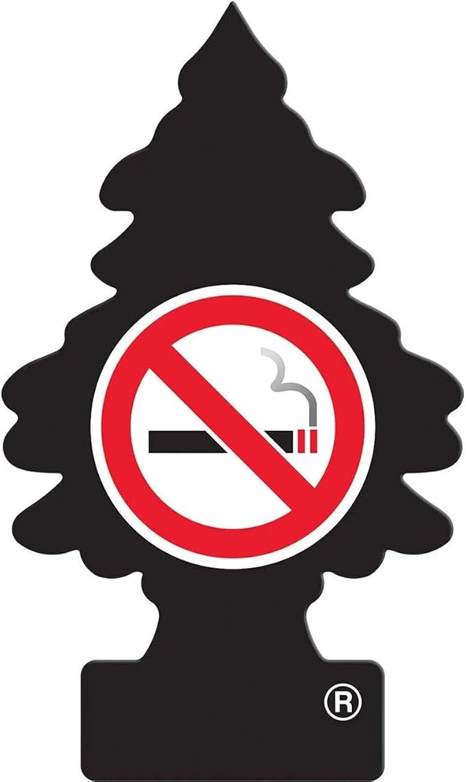 Car Air Freshener 6-Pack (NO Smoking)