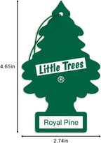 Car Air Freshener | Hanging Tree Provides Long Lasting Scent for Auto and Home | Royal Pine, 24 Air Fresheners