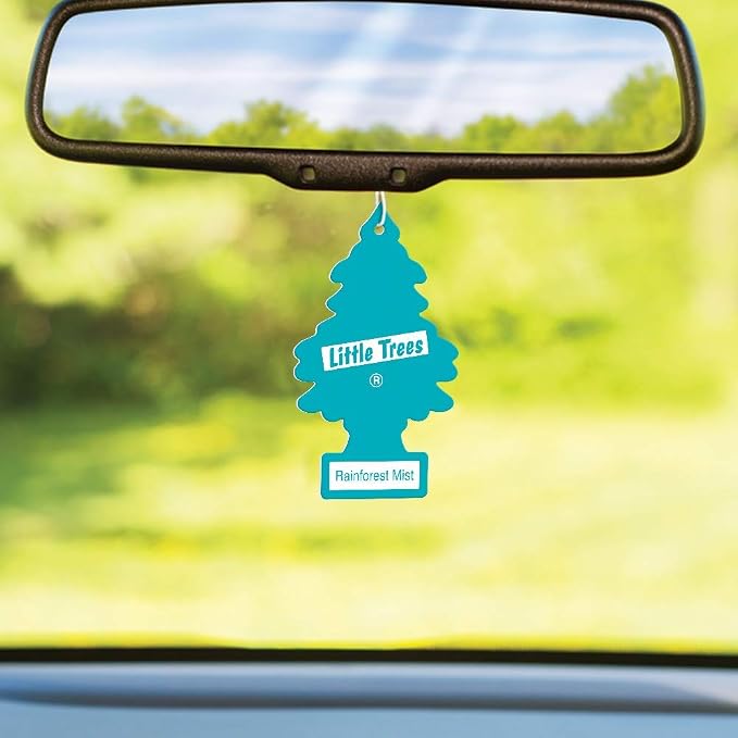 Cardboard Hanging Car, Home & Office Air Freshener, Rainforest Mist (Pack of 12)