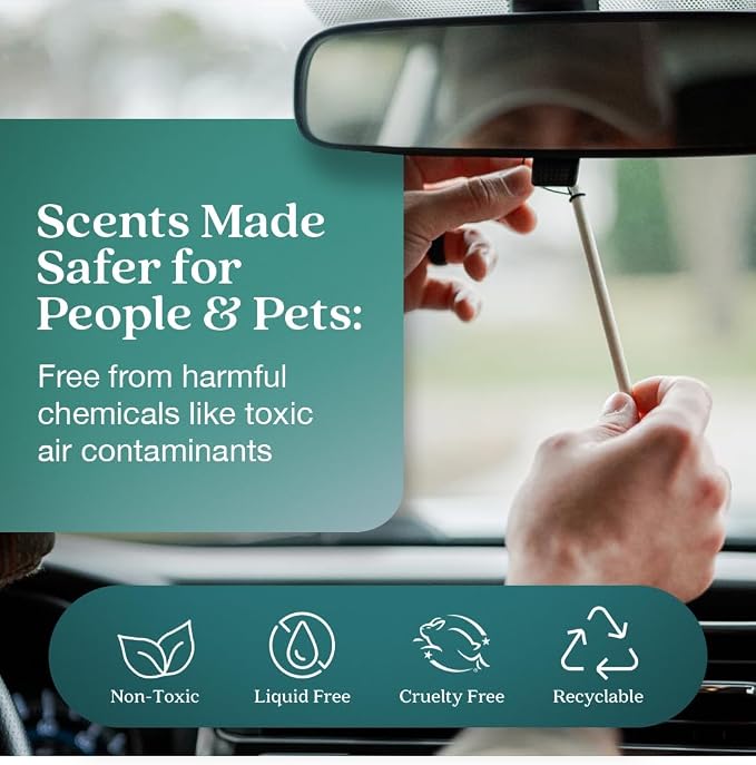 Non-Toxic* Car Air Freshener Auto Stix® - Scents Made Safer - Enjoy Fragrance Lasts Up to 480 Days - Includes Auto Stix® Diffusers & Elastic Loops - Seaside Coconut & Verbena (Pack of 8)