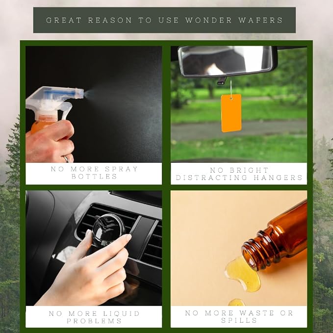 Wonder Wafers 250 Count Unwrapped Automobile Professional Use Air Fresheners Car and Truck Detail (Fresh and Clean)