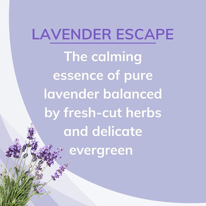 Odor Absorbing Solid Air Freshener, Lavender Escape, 8 Ounce (Pack of 3)