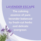 Odor Absorbing Solid Air Freshener, Lavender Escape, 8-Ounce, Pack of 6