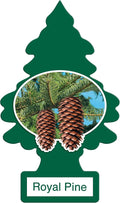 Car Air Freshener | Hanging Paper Tree for Home or Car | Royal Pine | 12 Pack