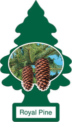 Car Air Freshener | Hanging Paper Tree for Home or Car | Royal Pine | 12 Pack
