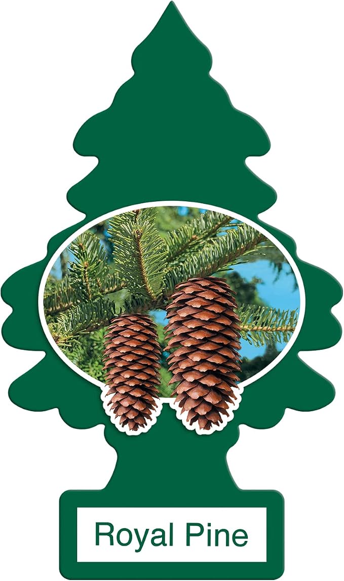 Car Air Freshener | Hanging Paper Tree for Home or Car | Royal Pine | 12 Pack