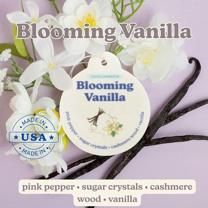 Odor Eliminating Car Charms 4-Pack - Includes: Blooming Vanilla, Golden Citrus, Sugared Fruit, Teakwood Trails