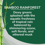 Solid Air Freshener, Bamboo Rainforest, 8 Ounce (Pack of 12)
