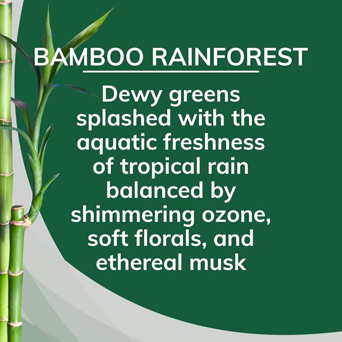 Solid Air Freshener, Bamboo Rainforest, 8 Ounce (Pack of 12)