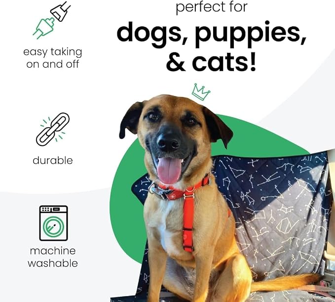 3-in-1 Back Seat Cover for Dogs, 100% Cotton Canvas Back Seat Hammock with Headrest Straps, Belt Slots, & Anchors, Non-Skid Cargo Area Cover, Machine Washable, No Harmful Chemicals, 56"x56"