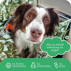 3-in-1 Back Seat Cover for Dogs, 100% Cotton Canvas Back Seat Hammock with Headrest Straps, Belt Slots, & Anchors, Non-Skid Cargo Area Cover, Machine Washable, No Harmful Chemicals, 56"x56"