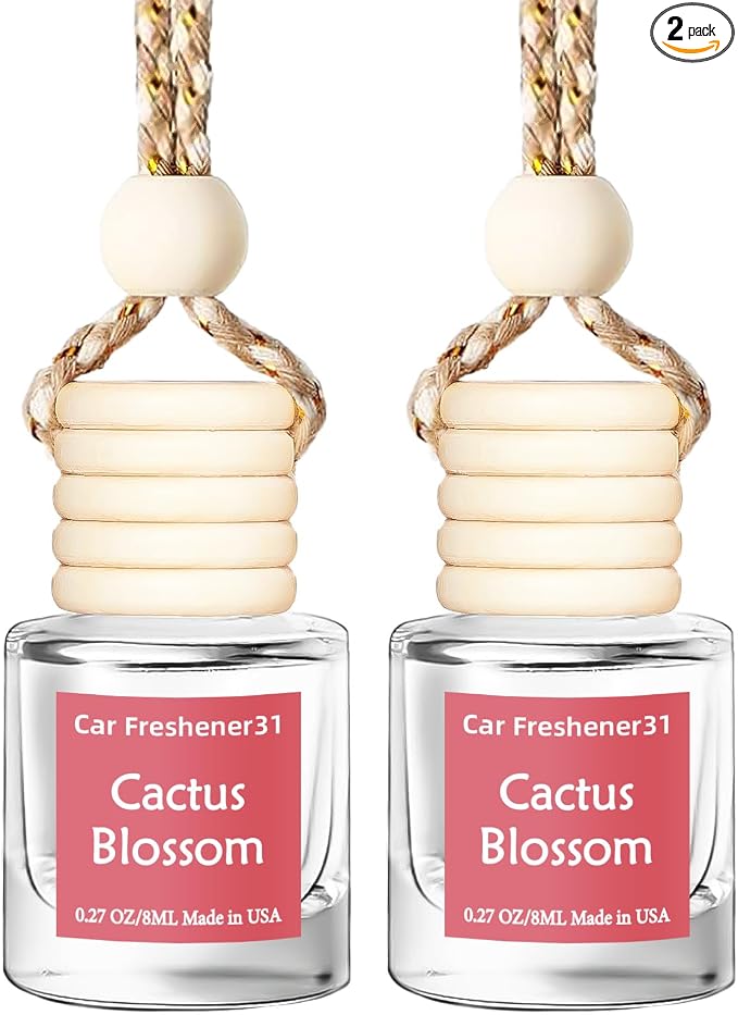 Hanging Car Air Freshener, Long Lasting Essential Oil Diffuser, Non-Toxic New Car Scent, Cute Car Fresheners for Women, 2 Pack Made in USA