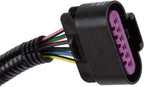 GM Genuine Parts 15803483 Tail Light Wiring Harness
