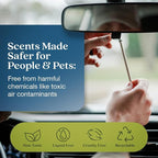 Non-Toxic* Car Air Freshener Auto Stix® - Scents Made Safer - Enjoy Fragrance Lasts Up to 480 Days - Includes Auto Stix® Diffusers & Elastic Loops - Coastal Storm & Teakwood (Pack of 8)