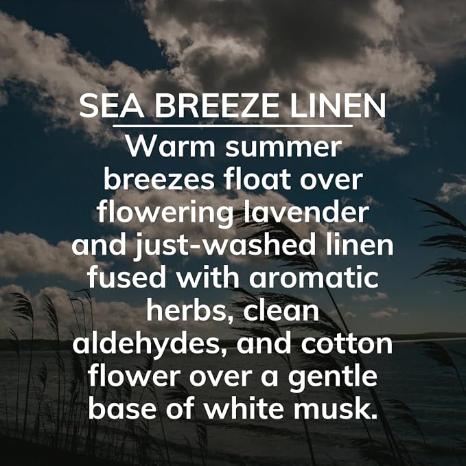 On The Go Solid Air Absorber Sea Breeze Linen, Pack of 3, 8-Ounces Each (866472509)