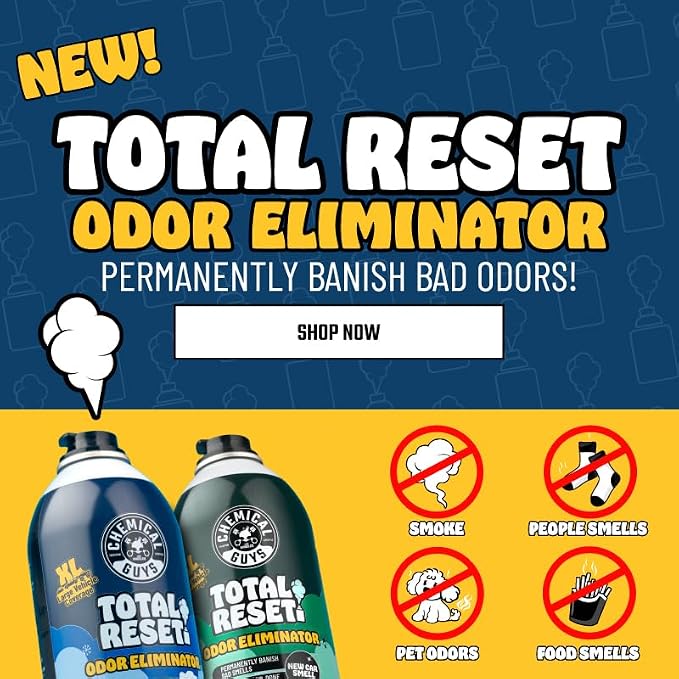 Odor Eliminating Aerosol Fogger, Black Frost Scent - 3 oz Single Can For Cars, Trucks, And SUVs - Set-And-Forget Interior Deodorizer Neutralizes Smoke, Pet, Gym, And Food Odors & More