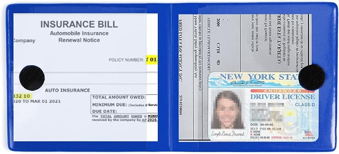 Car Registration and Insurance Card Holder, Vehicle Glove Box Car Organizer, Interior Car Accessories for Documents, Cards, License - 2 Pack