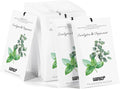 12 Packs Eucalyptus Mint Scented Sachets for Drawer and Closet, Long-Lasting Closet Sachet Bags Drawer Deodorizers Fresh Scents, Home Fragrance Air Freshener