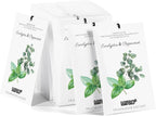 12 Packs Eucalyptus Mint Scented Sachets for Drawer and Closet, Long-Lasting Closet Sachet Bags Drawer Deodorizers Fresh Scents, Home Fragrance Air Freshener