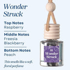 C&E Craft Co Hanging Car Air Freshener Diffuser 2 Pack, Long Lasting Fragrance Oil Car Freshener, Glass Bottle Auto Air Freshener, Made in USA (Wonder Struck)