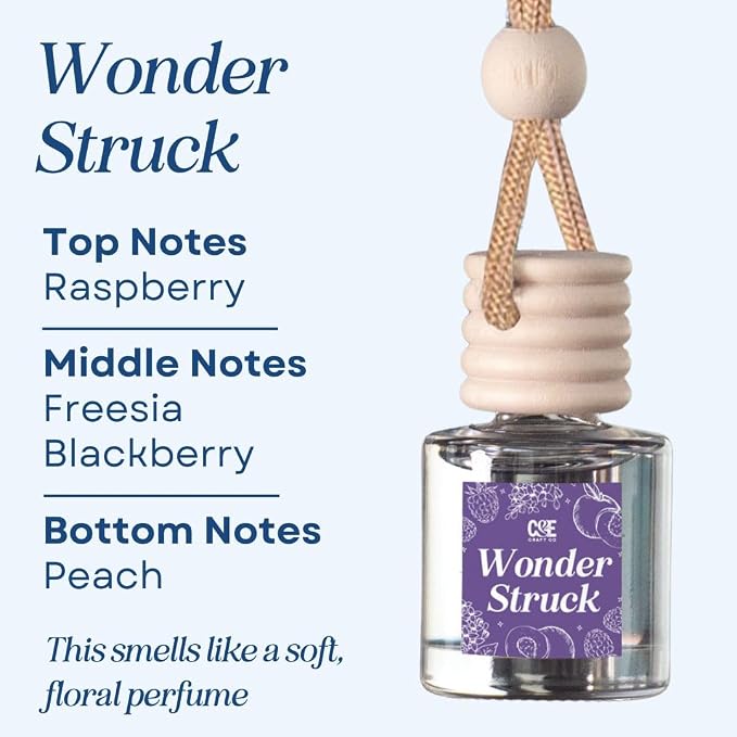 C&E Craft Co Hanging Car Air Freshener Diffuser 2 Pack, Long Lasting Fragrance Oil Car Freshener, Glass Bottle Auto Air Freshener, Made in USA (Wonder Struck)