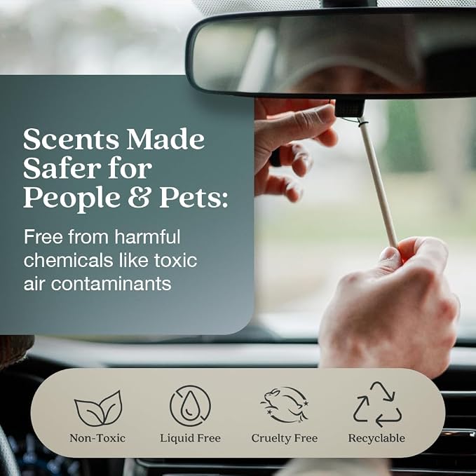 Non-Toxic* Car Air Freshener Auto Stix® - Scents Made Safer - Enjoy Fragrance Lasts Up to 480 Days - Includes Auto Stix® Diffusers & Elastic Loops - Black Vanilla & Mandarin (Pack of 8)