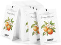 12 Packs Orange Scented Sachets - Fragrance for Closet, Drawer, Bathroom, Car - Air Freshener Deodorizer Packets