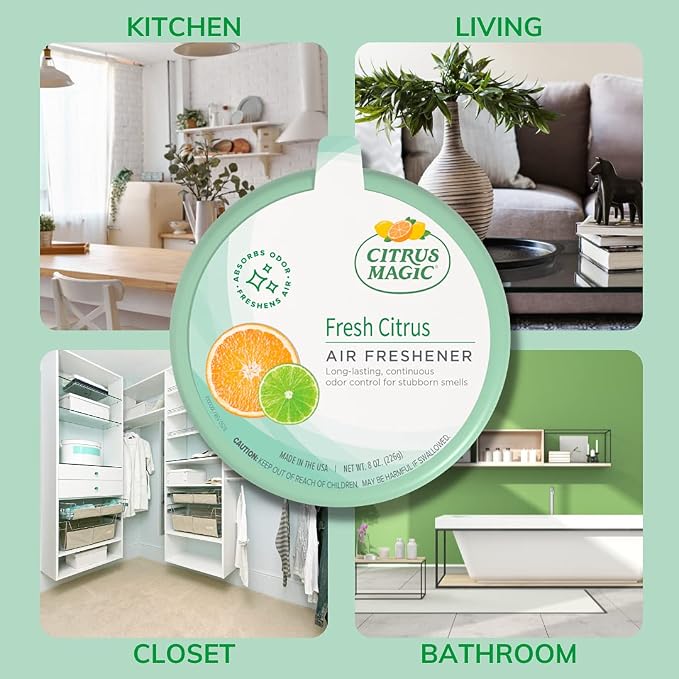 Odor Absorbing Solid Air Freshener, Fresh Citrus, 8-Ounce, Pack of 1