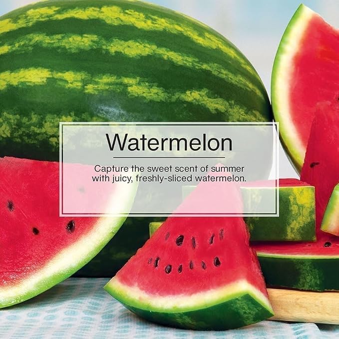 Car Air Freshener | Hanging Paper Tree for Home or Car | Watermelon Scent | 6 Pack
