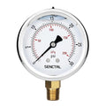 0-30 PSI Glycerin Liquid Filled Low Pressure Gauge, 2.5" Dial Size, 1/4 NPT, Stainless Steel Case, Lower Mount, for Water Oil Air Pressure Test