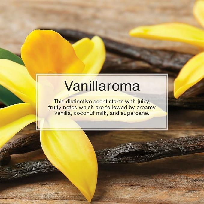 Car Air Freshener | Hanging Paper Tree for Home or Car | Vanillaroma | Pack of 6