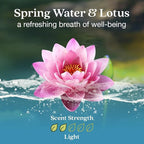 Non-Toxic* Car Air Freshener Auto Stix® - Scents Made Safer - Enjoy Fragrance Lasts Up to 480 Days - Includes Auto Stix® Diffusers & Elastic Loops - Spring Water & Lotus (Pack of 8)