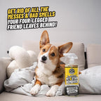 Furbidden Pet Stain Remover for Car & Home, Carpet & Upholstery Cleaner, Eliminates Pet Odors & Stains from Urine & Vomit, Multi-Surface Pet Odor Neutralizer - 16 oz